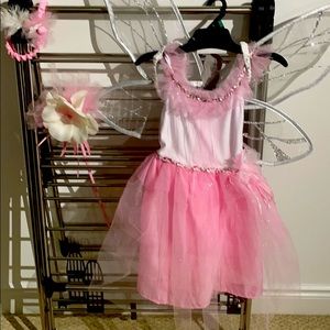 Pottery barn fairy costume